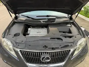 Lexus RX 2010 Gray