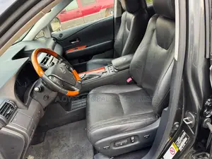 Lexus RX 2010 Gray