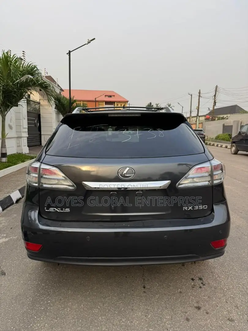 Lexus RX 2010 Gray