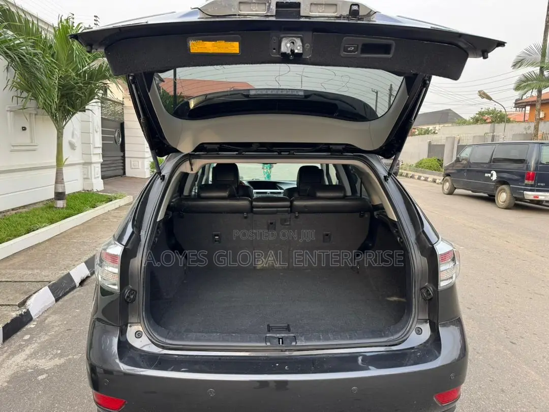 Lexus RX 2010 Gray