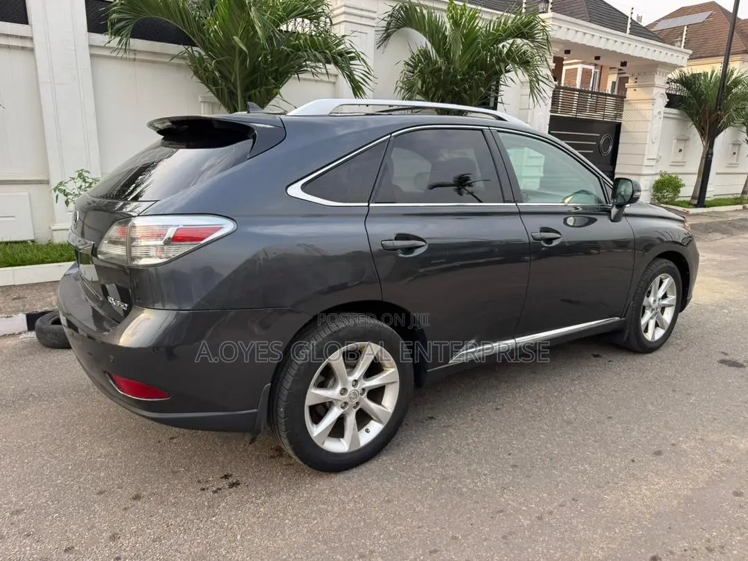 Lexus RX 2010 Gray