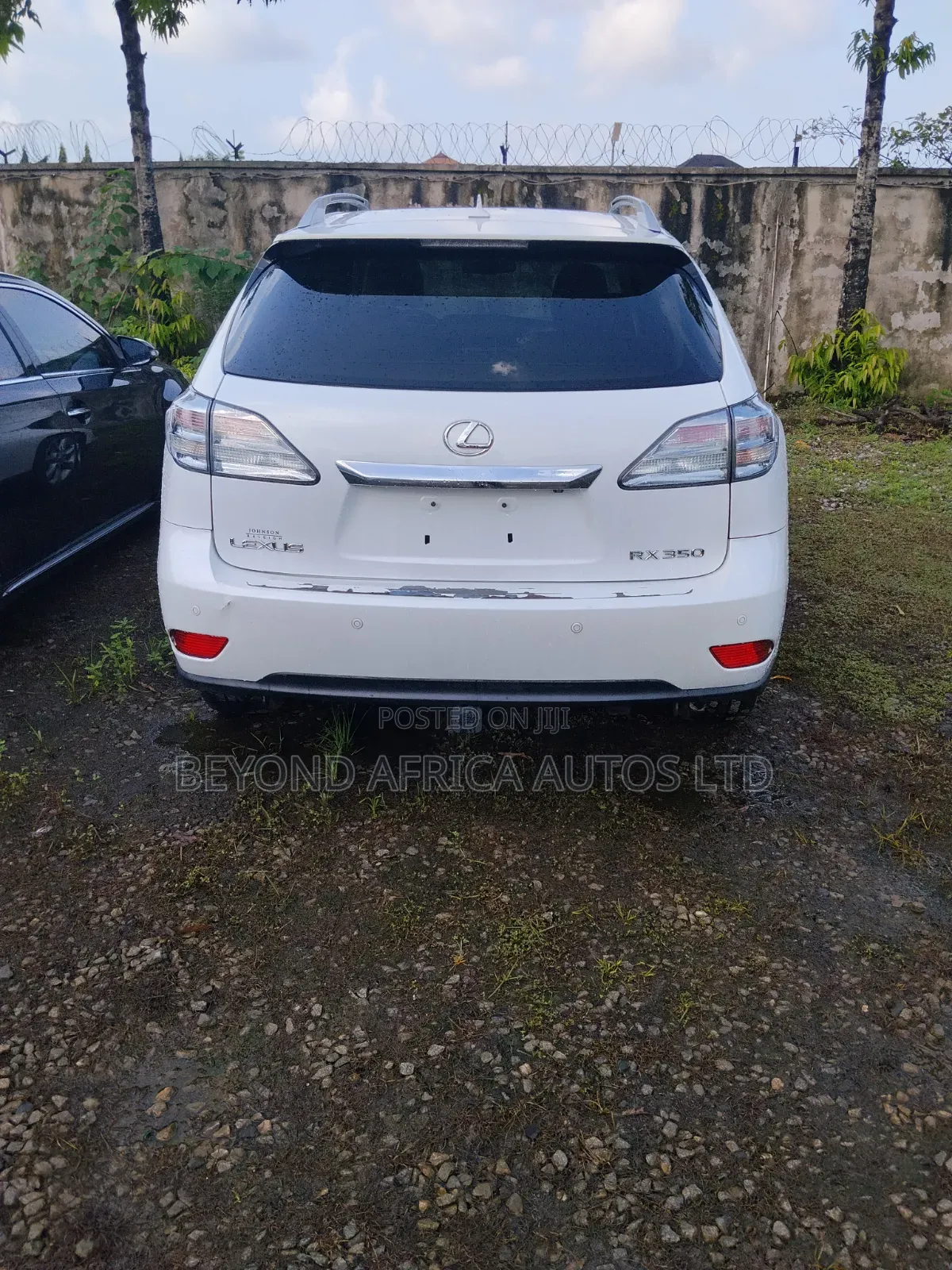 Lexus RX 2010 White