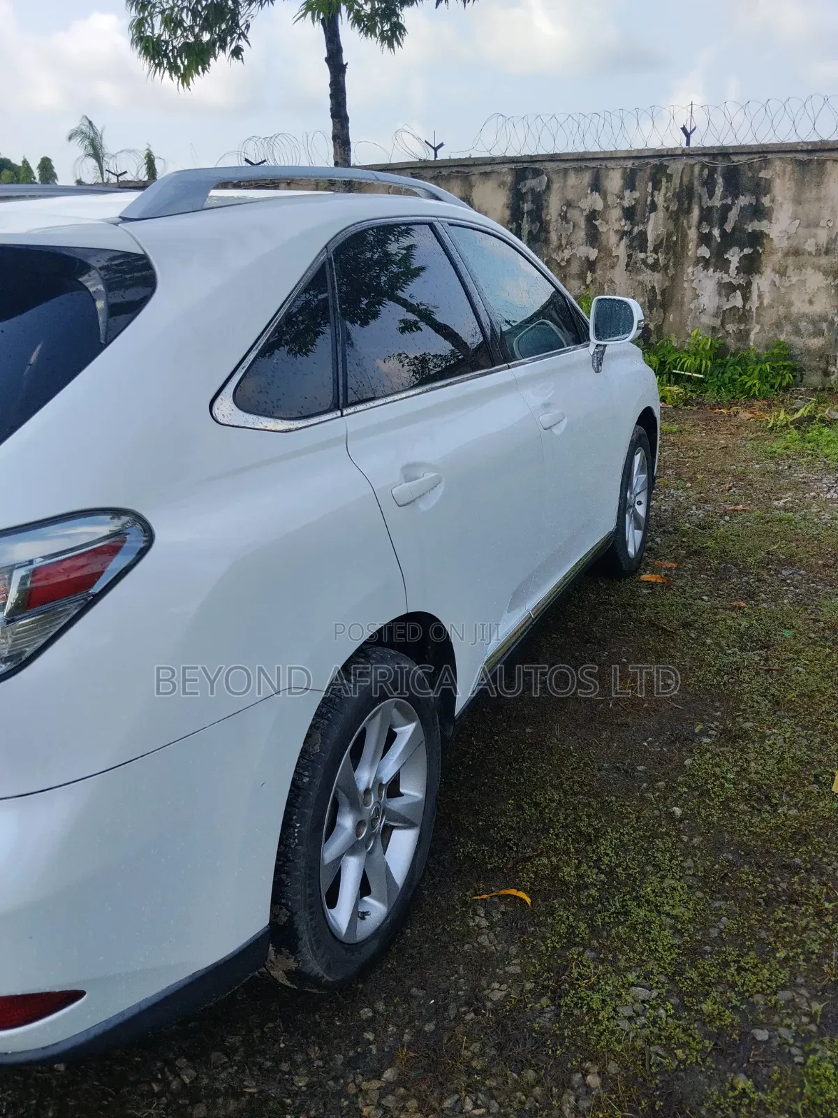 Lexus RX 2010 White