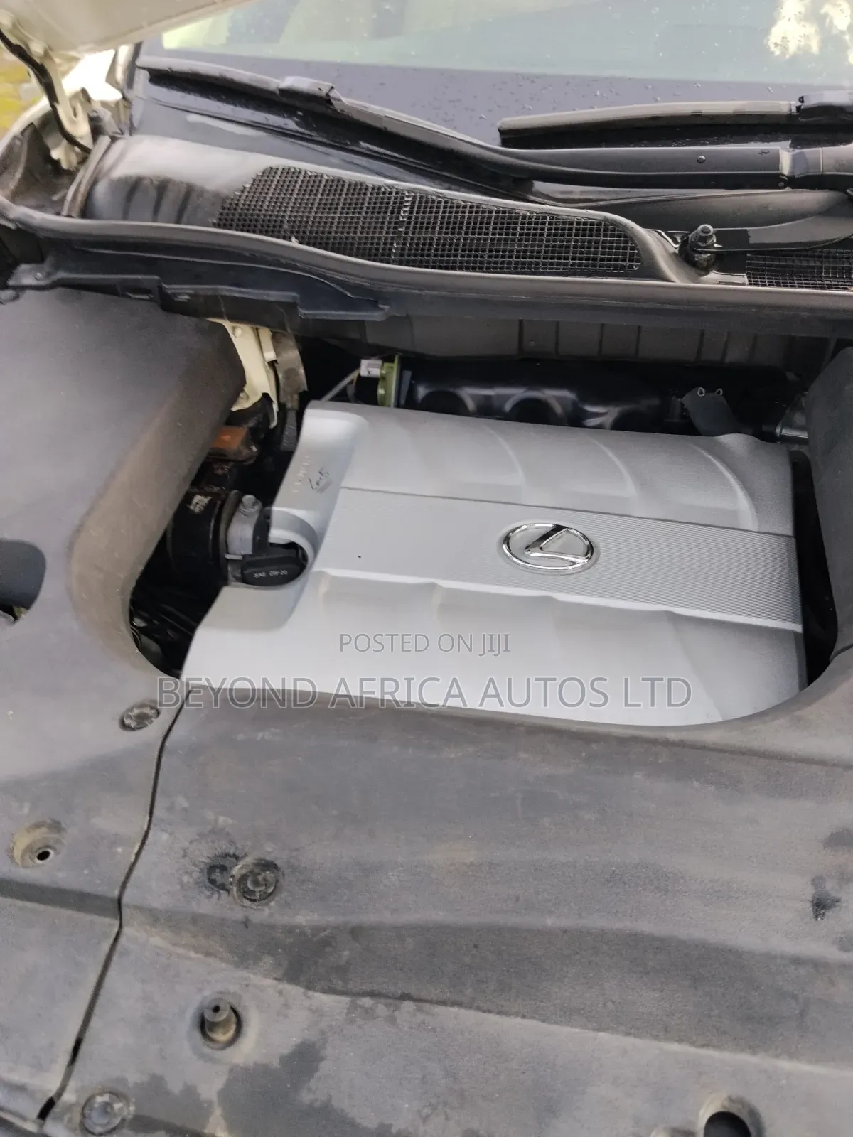 Lexus RX 2010 White
