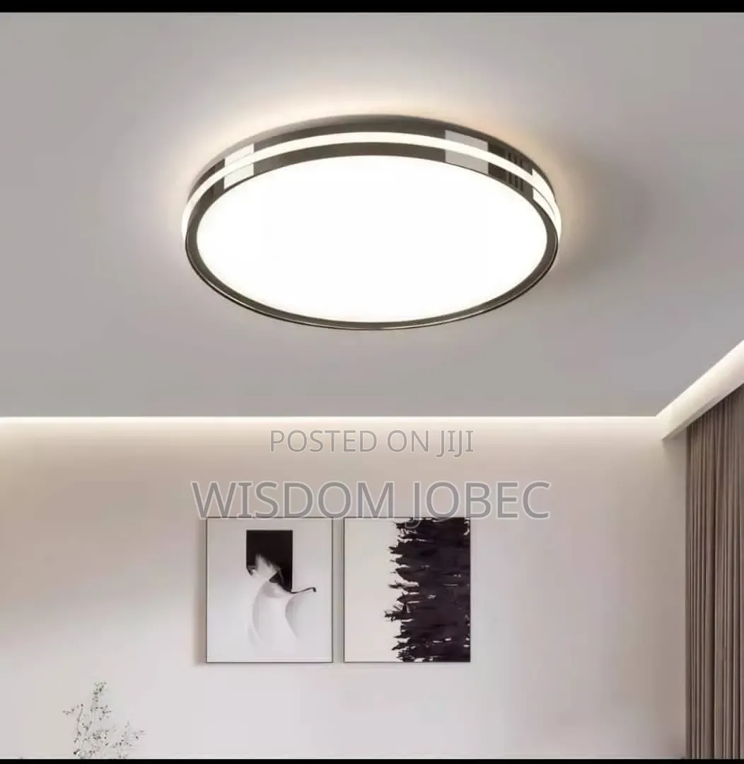Depuley Modern Led Ceiling Light