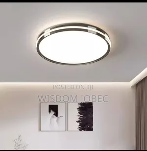 Depuley Modern Led Ceiling Light