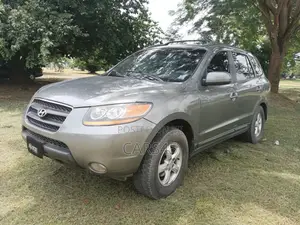 Hyundai Santa Fe 2009 Gray