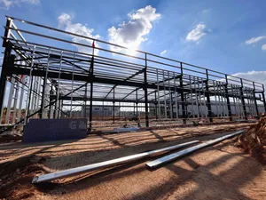 Warehouse/Factory Construction