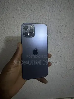 Apple iPhone 12 Pro Max 256 GB Blue