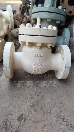3" X 600 Check Valve
