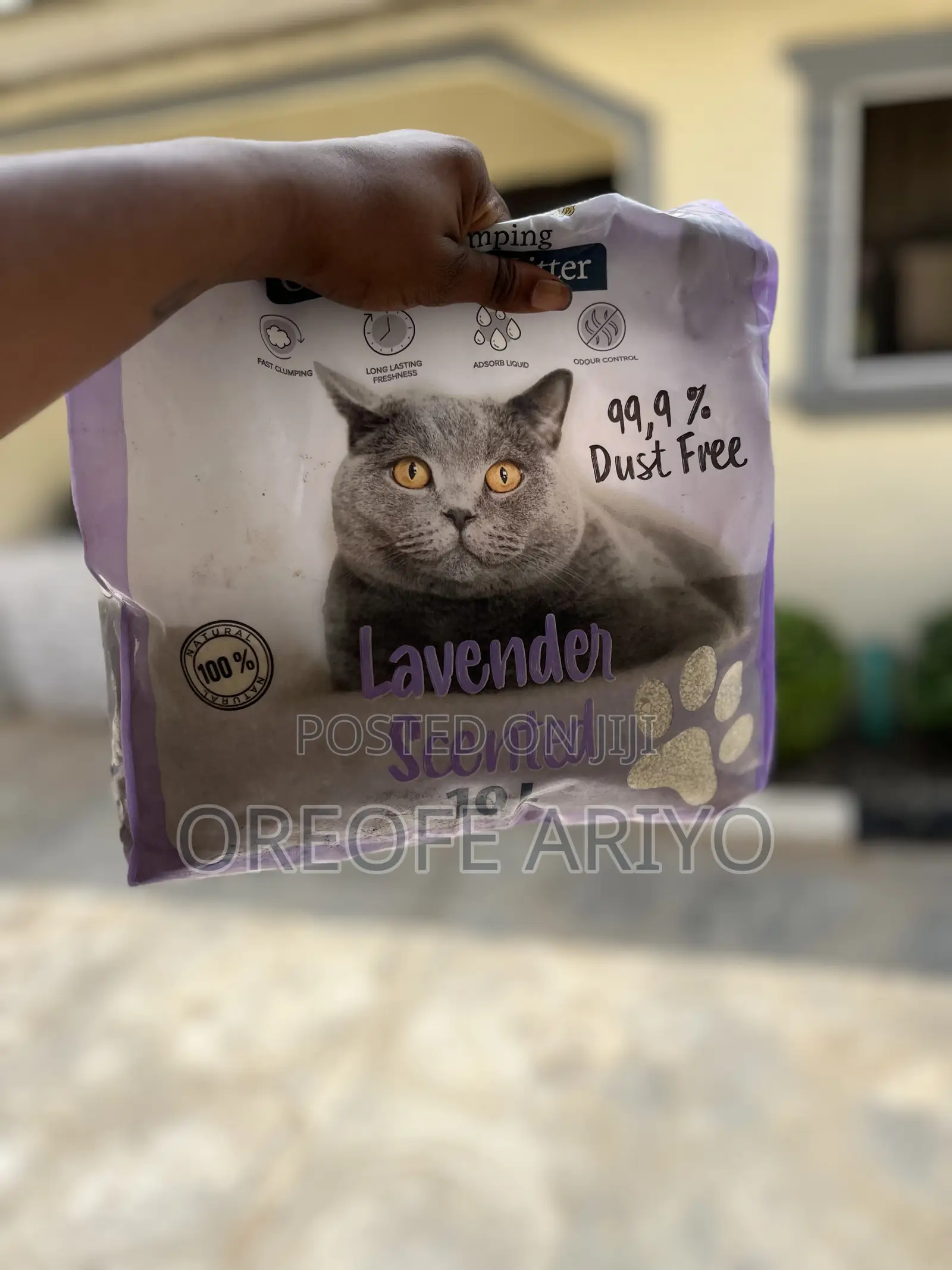 Cat Litter Sand