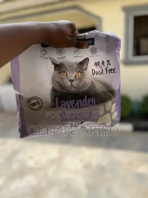 Cat Litter Sand
