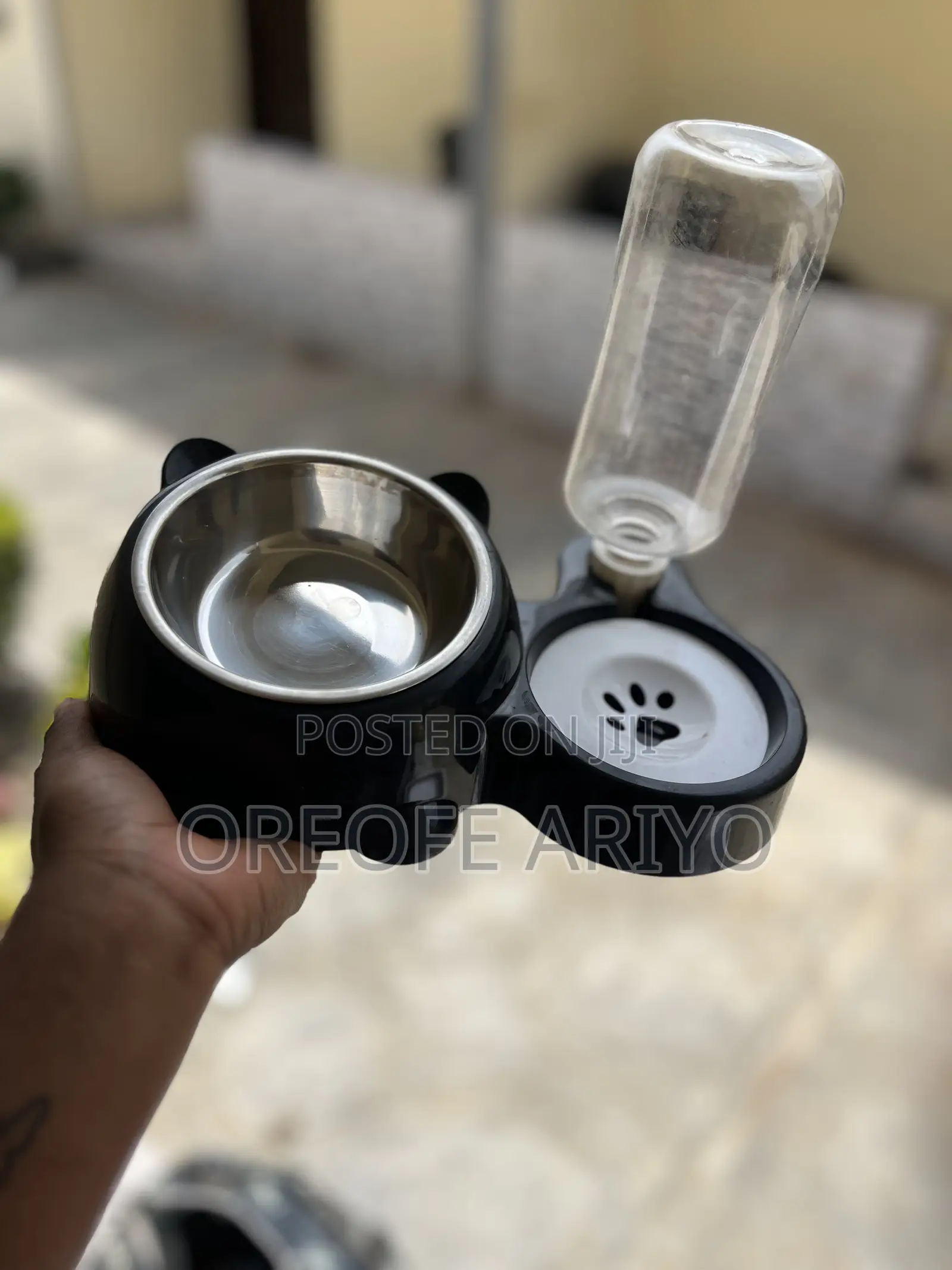 Food Bowl and Litter Box