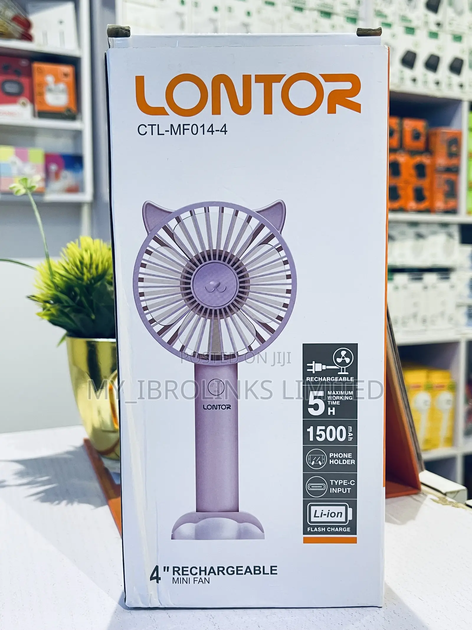 Rechargeable Fan