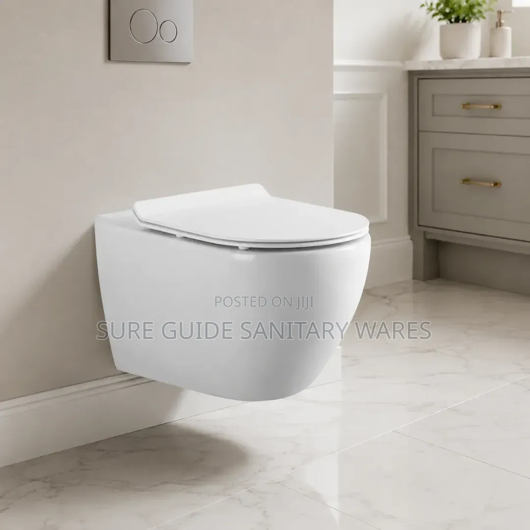 Rimless Conceal Watercloset