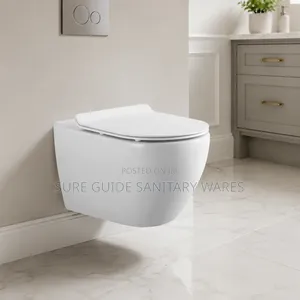Rimless Conceal Watercloset