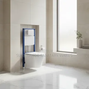 White Concealed Watercloset