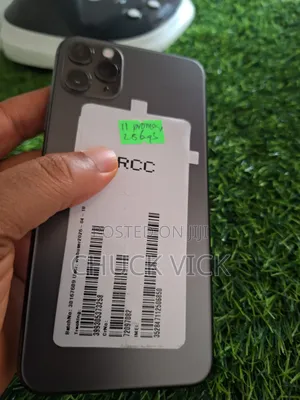 Apple iPhone 11 Pro Max 256 GB Gray