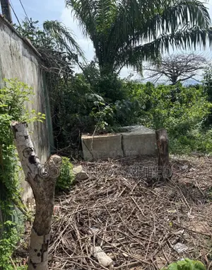 Plot of Land for Sale