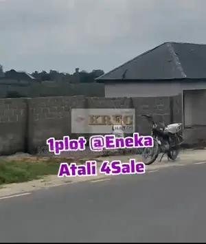 Eneka Flyover by Igboetche Express