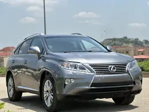 Lexus RX 2013 Gray
