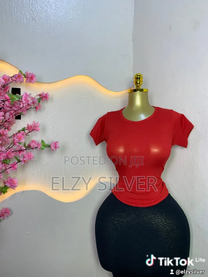 Elzy Aradise