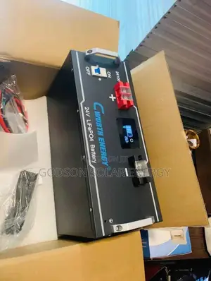 C Worth Solar Lithium Ion Battery
