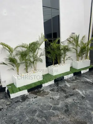 Rectangle Vase With Areca Palm Made for Home and Office Decor