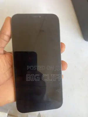 Apple iPhone 12 Pro Max 128 GB Gray
