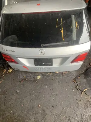 Gle (166)Back Door