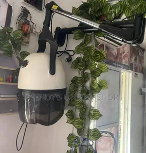Wall Mounted Hair Dryer