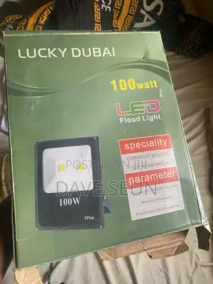 100 Watts Flood Light