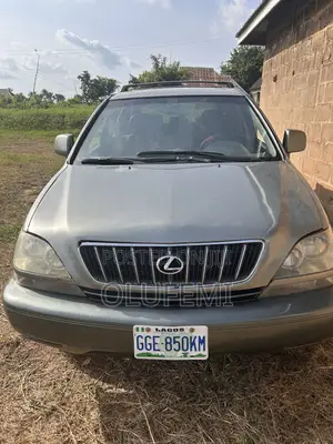 Lexus RX 300 4WD 2003 Gray