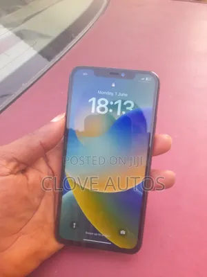 Apple iPhone 11 Pro Max 256 GB Gray
