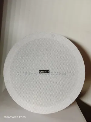 30w Tundra Ceiling Speaker