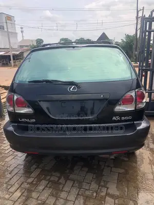 Lexus RX 330 4WD 2003 Black