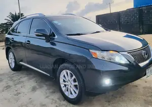 Lexus RX 350 2010 Gray