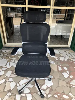 Aeroflex Executive Mesh Chair