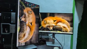 24 Inches Dell Frameless Ips Ultra Anti Glare Monitor , And With Usb-c