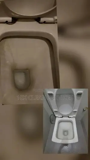 Wc Ceramics Stain Removal Service