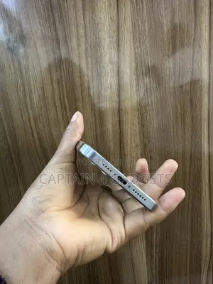 Apple iPhone 15 Pro Max 256 GB Silver