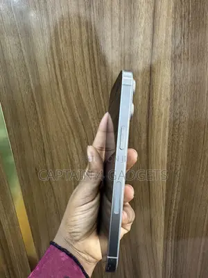 Apple iPhone 15 Pro Max 256 GB Silver