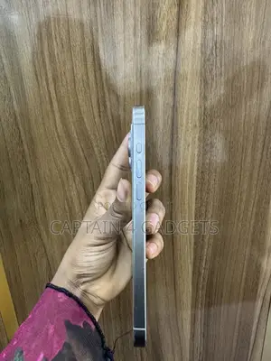 Apple iPhone 15 Pro Max 256 GB Silver