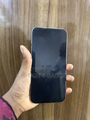 Apple iPhone 15 Pro Max 256 GB Silver