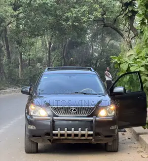 Lexus RX 2007 Gray