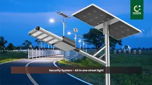All in One Streetlight Project
