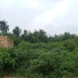 Land Sales