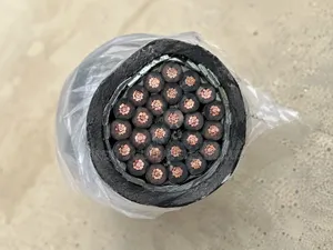 1.5mm2 24-Core Armoured Cable