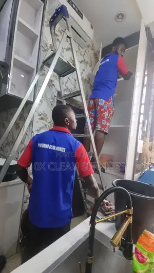 Premium Cleaning and Fumigation Services