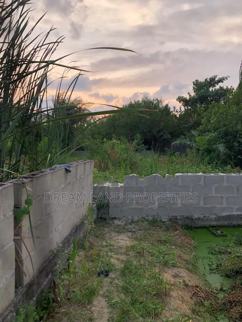 Half Plot Of Land